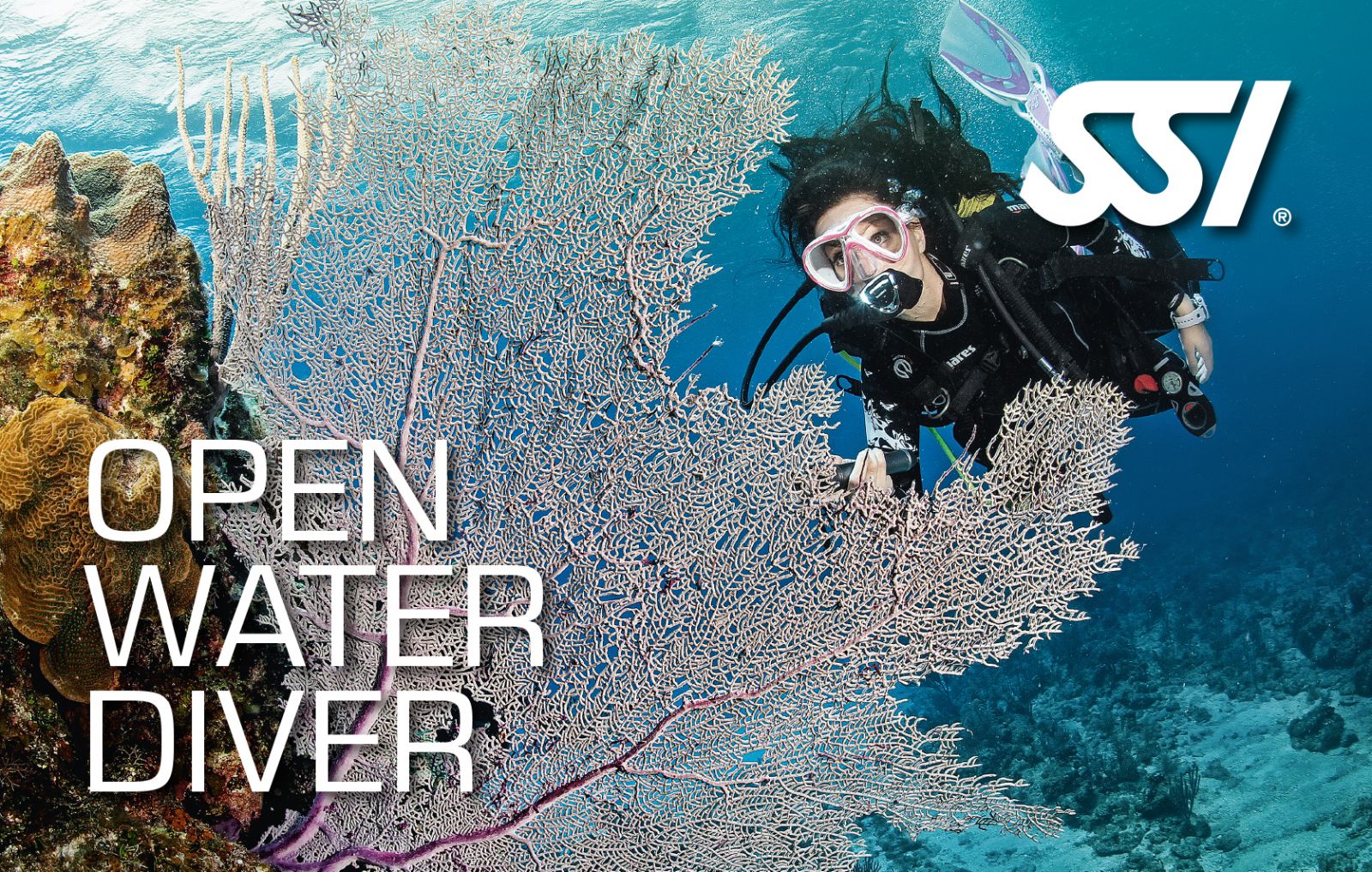 Dykkerkursus - Grundkursus - Open Water Diver  